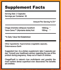 chaga plus ingredients