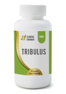 tribulus