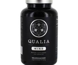 qualia mind 1