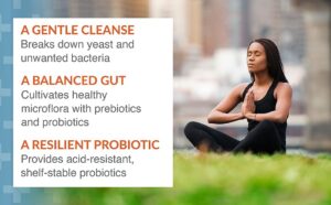 Syntol probiotic