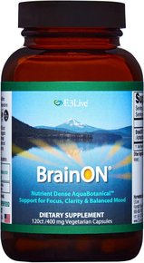 BrainON