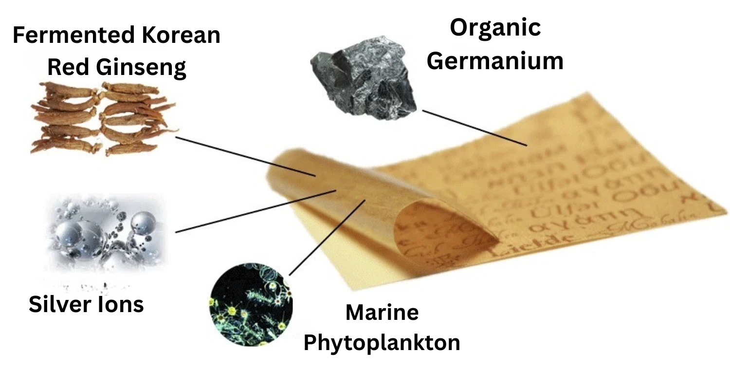 Adhesive patch instructions showing how to apply and replace