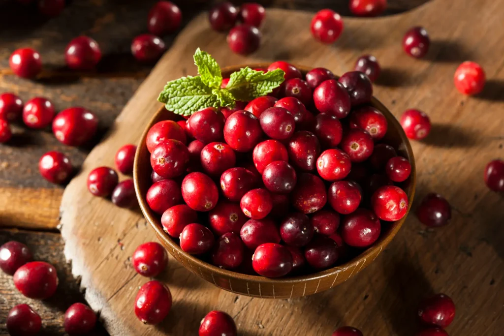Fresh cranberries commonly used in urinary wellness support